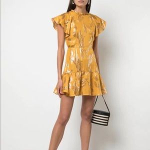 Sorrene Ruffled Metallic Jacard Mini Dress